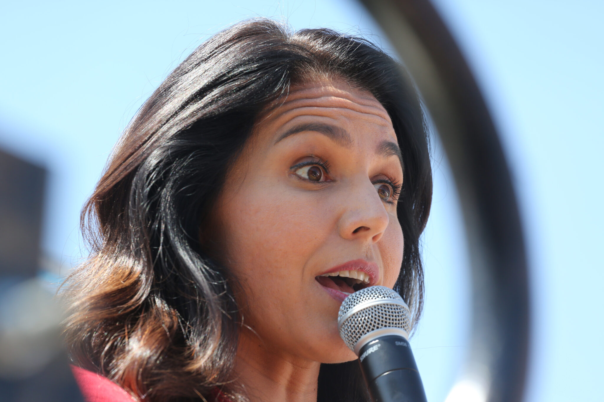 Senator Calls Tulsi Gabbard Unfit For Intelligence Role | United Liberty