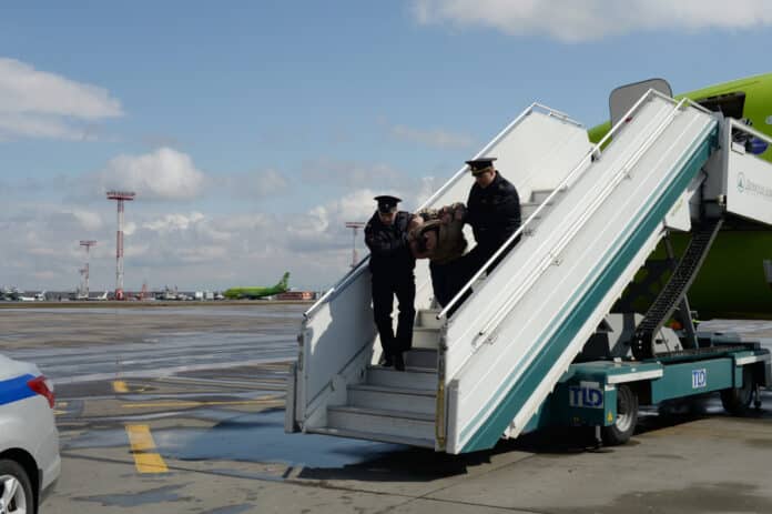 drunk-passenger-punches-airport-worker-over-canceled-flight_70beb1b6-fdc0-45d6-a4aa-9bf7e3035dd7